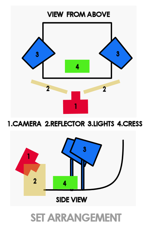 The simple set for the cress time-lapse