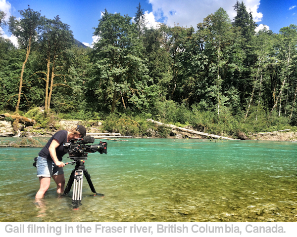 Gail Jenkinson Camera Operator
