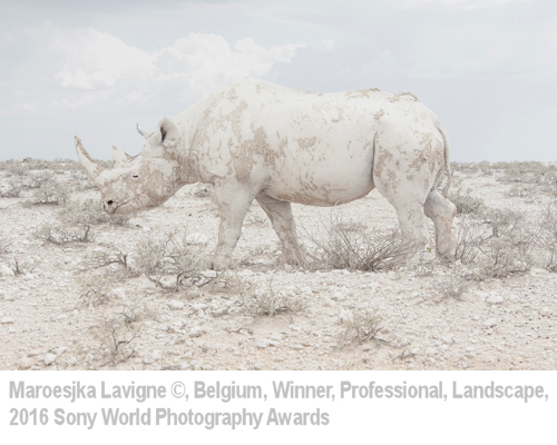 maroesjka lavigne belgium sony 2016 world photography awards