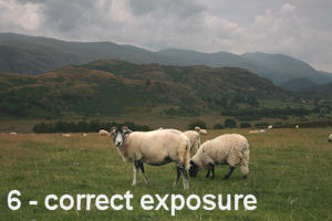 example of a normally exposed image.
