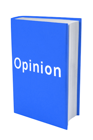 opinion
