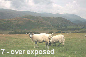 example of an under exposed image.