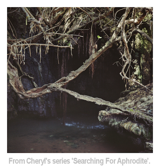 from searching for aphrodite