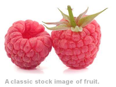 stock photography of fruit