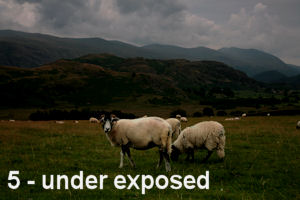 example of an under exposed image.